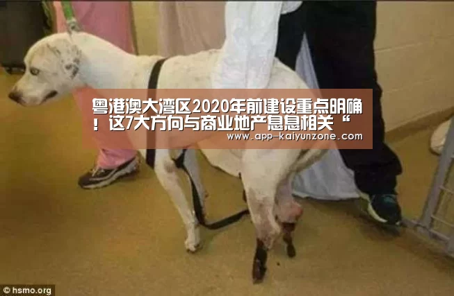 开云中国官网